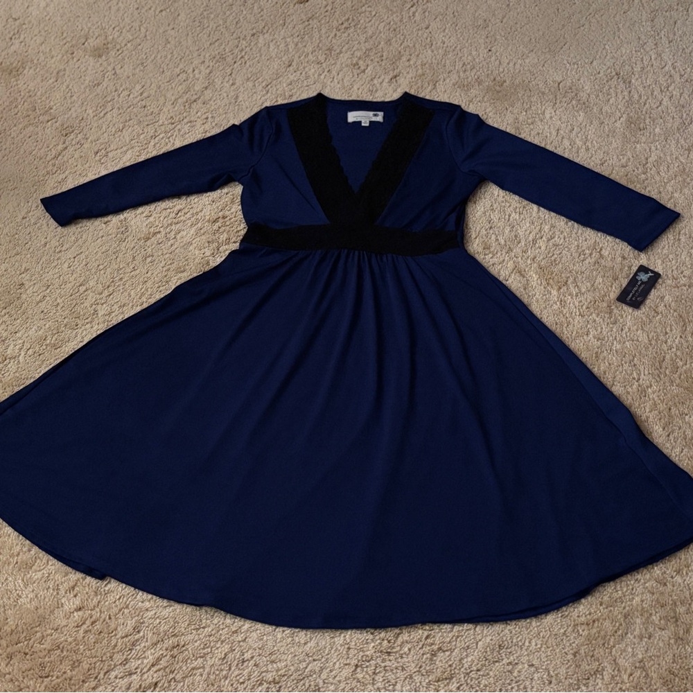 Liz Lange Royal Blue and Black Lace Dress